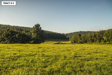 90 Acres Being Sold At Absolute Auction in Floyd VA! - image 10