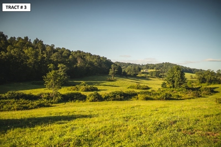 90 Acres Being Sold At Absolute Auction in Floyd VA! - image 5