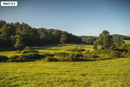 90 Acres Being Sold At Absolute Auction in Floyd VA! - image 8