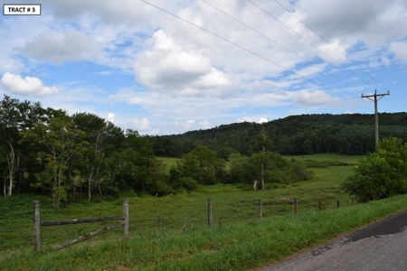 90 Acres Being Sold At Absolute Auction in Floyd VA! - image 23