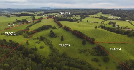 90 Acres Being Sold At Absolute Auction in Floyd VA! - image 18