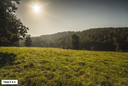90 Acres Being Sold At Absolute Auction in Floyd VA! - image 9
