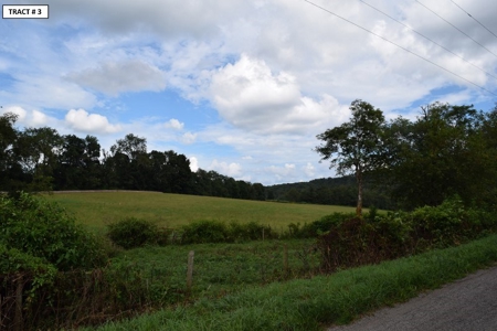 90 Acres Being Sold At Absolute Auction in Floyd VA! - image 20