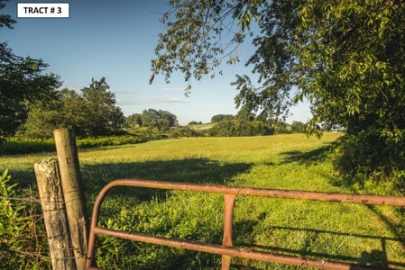 90 Acres Being Sold At Absolute Auction in Floyd VA! - image 12