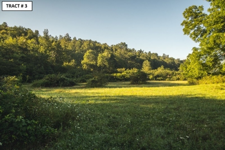 90 Acres Being Sold At Absolute Auction in Floyd VA! - image 2