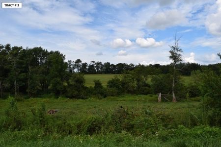 90 Acres Being Sold At Absolute Auction in Floyd VA! - image 24