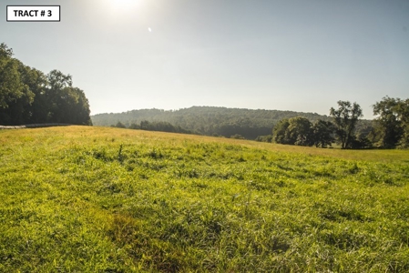 90 Acres Being Sold At Absolute Auction in Floyd VA! - image 17