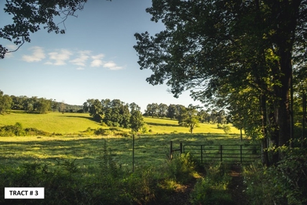 90 Acres Being Sold At Absolute Auction in Floyd VA! - image 13