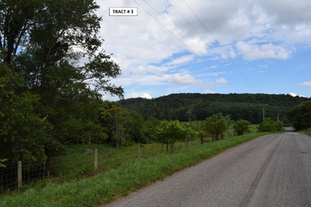 90 Acres Being Sold At Absolute Auction in Floyd VA! - image 22