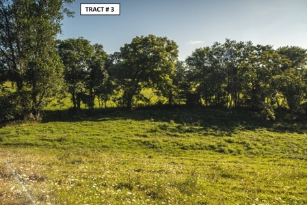 90 Acres Being Sold At Absolute Auction in Floyd VA! - image 16