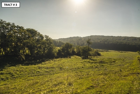 90 Acres Being Sold At Absolute Auction in Floyd VA! - image 15