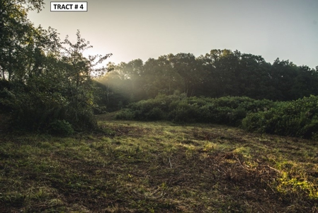 17 Acre Building Site for Sale at Auction in Floyd VA! - image 4