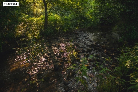 17 Acre Building Site for Sale at Auction in Floyd VA! - image 14
