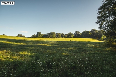 17 Acre Building Site for Sale at Auction in Floyd VA! - image 15
