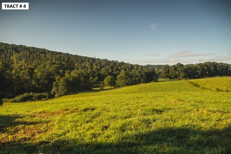 17 Acre Building Site for Sale at Auction in Floyd VA! - image 16