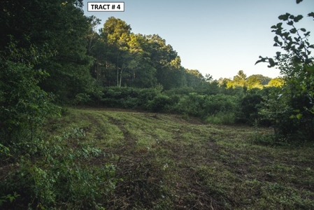 17 Acre Building Site for Sale at Auction in Floyd VA! - image 7