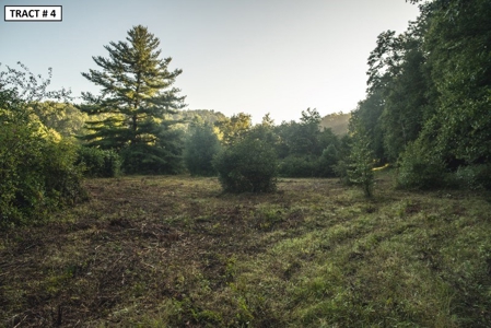 17 Acre Building Site for Sale at Auction in Floyd VA! - image 12