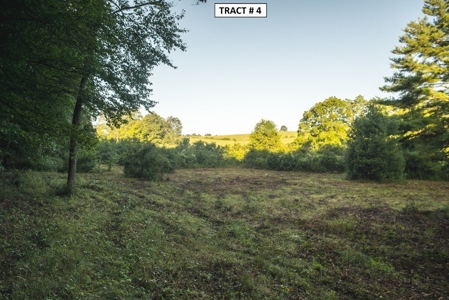 17 Acre Building Site for Sale at Auction in Floyd VA! - image 10
