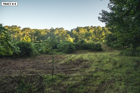 17 Acre Building Site for Sale at Auction in Floyd VA! - image 8