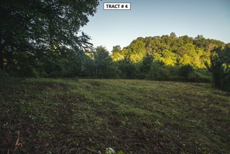 17 Acre Building Site for Sale at Auction in Floyd VA! - image 9