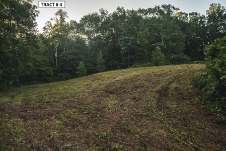 17 Acre Building Site for Sale at Auction in Floyd VA! - image 5