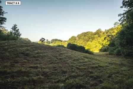 17 Acre Building Site for Sale at Auction in Floyd VA! - image 6