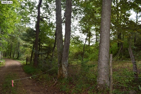 17 Acre Building Site for Sale at Auction in Floyd VA! - image 17
