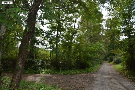 17 Acre Building Site for Sale at Auction in Floyd VA! - image 18
