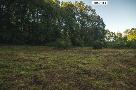 17 Acre Building Site for Sale at Auction in Floyd VA! - image 11