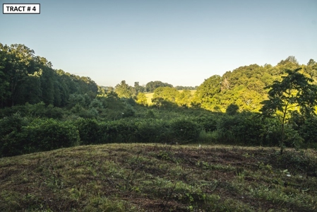 17 Acre Building Site for Sale at Auction in Floyd VA! - image 3