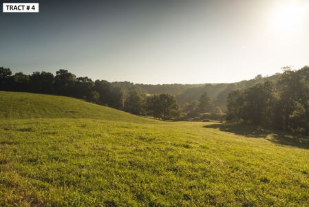 17 Acre Building Site for Sale at Auction in Floyd VA! - image 1