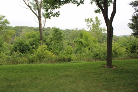 Acreage with Home in Ponca Hills - image 23