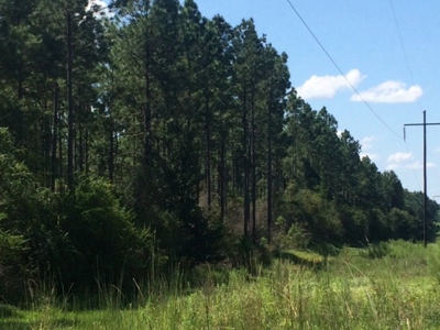 Timberland and Hunting Land Pearl River Ms - image 2