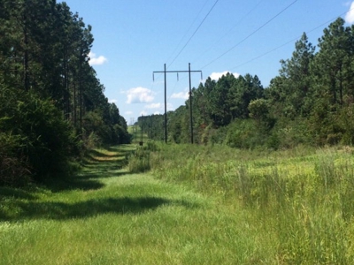 Timberland and Hunting Land Pearl River Ms - image 1