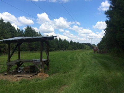 Timberland and Hunting Land Pearl River Ms - image 16