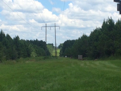 Timberland and Hunting Land Pearl River Ms - image 17