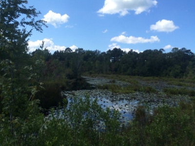 Timberland and Hunting Land Pearl River Ms - image 11