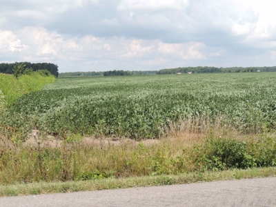 Farmland, Residential & Recreational Hunting Real Estate - image 9