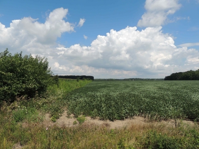 Farmland, Residential & Recreational Hunting Real Estate - image 10