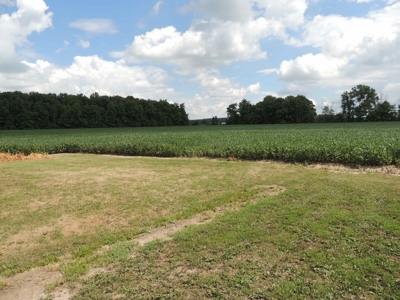 Farmland, Residential & Recreational Hunting Real Estate - image 18