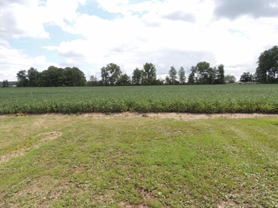 Farmland, Residential & Recreational Hunting Real Estate - image 17