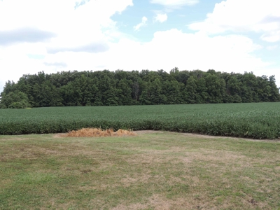 Farmland, Residential & Recreational Hunting Real Estate - image 16