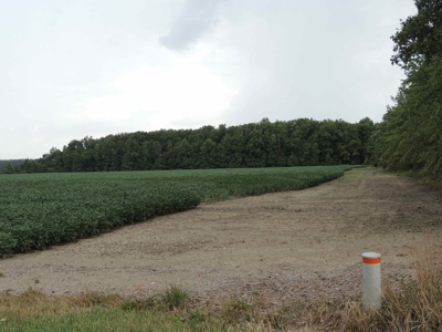 Farmland, Residential & Recreational Hunting Real Estate - image 20