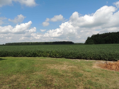 Farmland, Residential & Recreational Hunting Real Estate - image 19