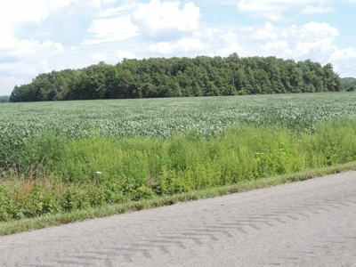 Farmland, Residential & Recreational Hunting Real Estate - image 13