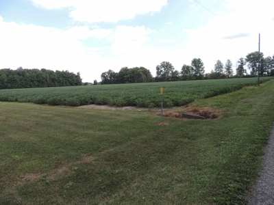 Farmland, Residential & Recreational Hunting Real Estate - image 15
