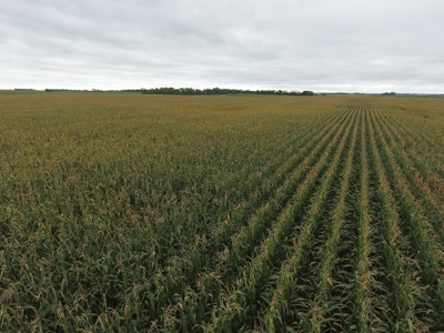 SOLD! $7455 per Acre! - image 8