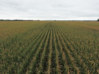 SOLD! $7455 per Acre! - image 6