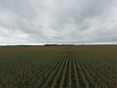 SOLD! $7455 per Acre! - image 2