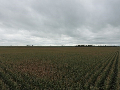 SOLD! $7455 per Acre! - image 1